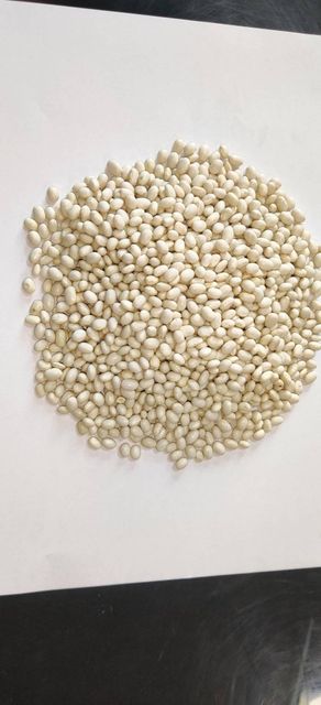 white beans  Taste Neutral Texture Smooth Nutritional Profile Nutritious Intended Use Soups, Stews, Salads Quality Standard Stringent Quality - Image 2