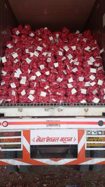 fresh red onion nashik india Place of Origin Nashik India Packaging 5,10,20,50 Kg Packing - Image 5