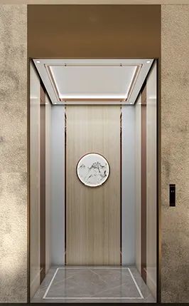 Factory Direct Sales Homes Passenger Elevator Price Persons <5 Origin China Model NO. 007 HS Code 842810 Speed <1.00m/s Capacity - Image 2