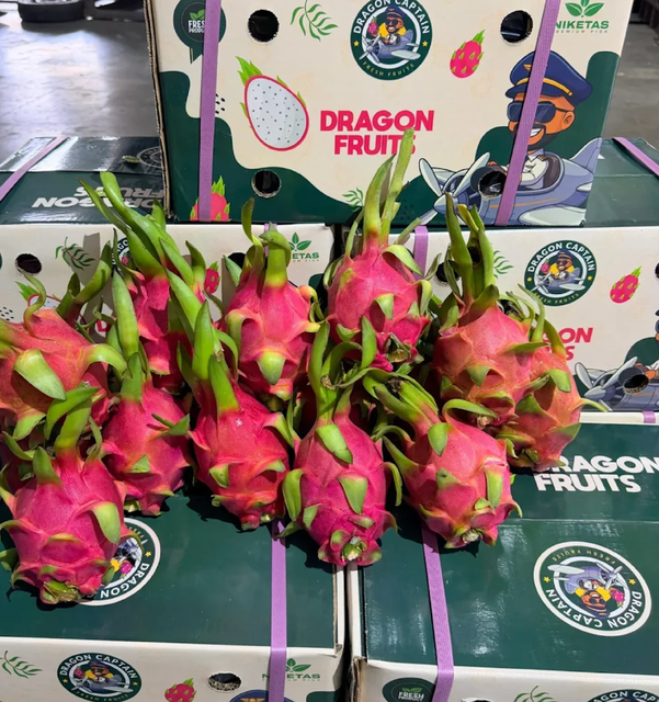 New Harvest Dragon Fruit Export Quality 9kg Attractive Vibrant Dragon Fruit On Sale - Image 2