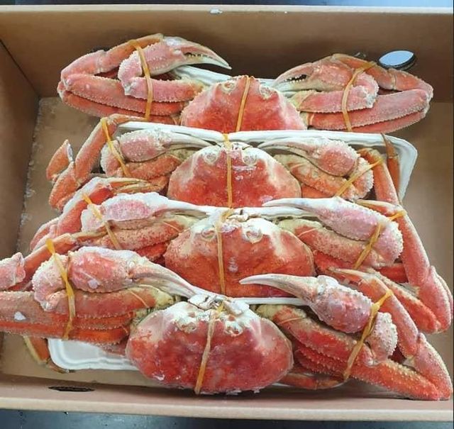Fresh Red king Crab Snow Crab King Prawns and Shrimp Clusters Frozen Seafood Lobster and Mackerel Whole Shellfish Meat Whatsap +37063841846 - Image 4