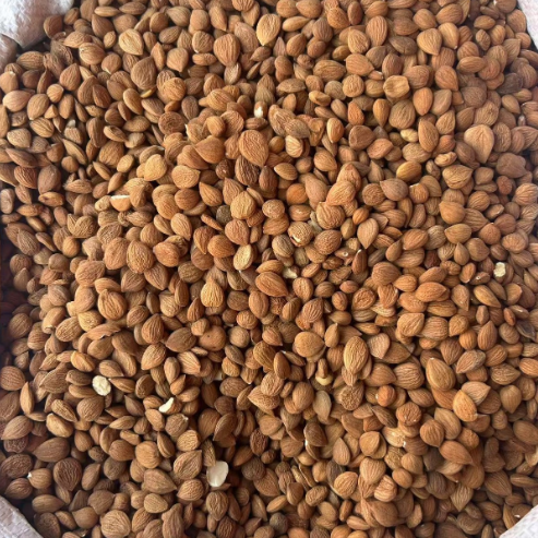 Raw Almonds Top-Grade Quality - Image 2