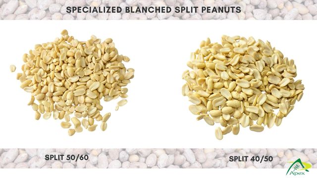 Blanched Peanut Split 4050,Blanched Peanut Split 40 50, Peanut, Peanuts, Arachis hypogaea, Blanched Peanut Split 50/60, Blanched Peanuts Split, Blanched Peanuts Kernels, Blanched Peanut Split Blanched Peanut , Indian Blanched Peanut Split, Indian Blanched Peanut, Peanuts Kernels Split, Peanuts Kernels ,Peanut With Shell, Peanuts, Indian Peanut, Blanched Roasted Peanuts, Blanched Peanut Split Supplier From India. - Image 2