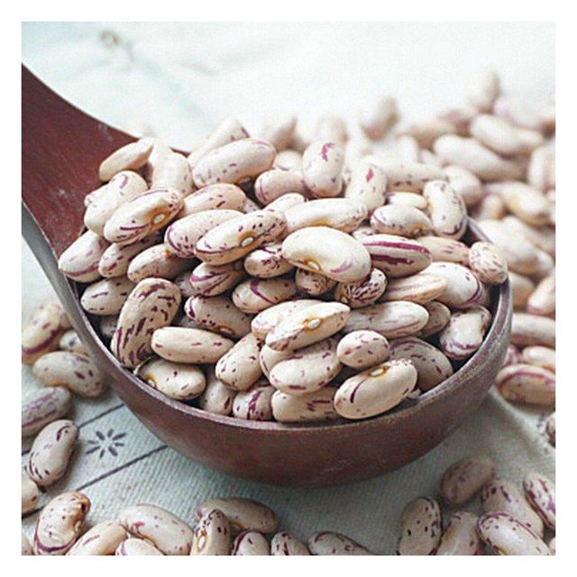 Top quality sugar beans for supermarkets and dry goods vendors - Image 3