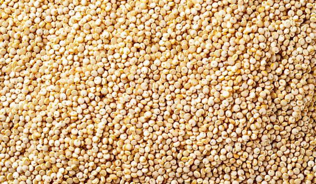 Millet - Flour, Grain - Nutrition Facts, Calories, Millet Grains Stock Ingredient Spotlight: Millet - Image 1