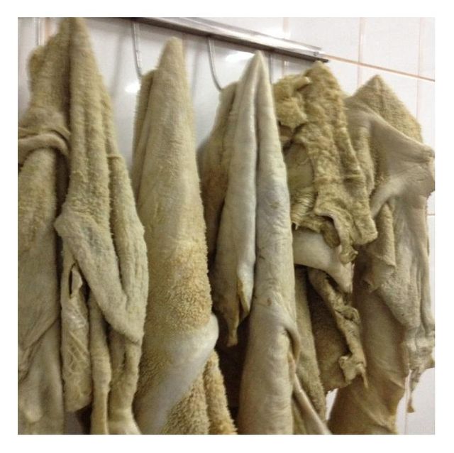 BEEF OMASUM | FROZEN BEEF TRIPE /BUY HALAL TOP QUALITY FROZEN BEEF OMASUM - Image 3