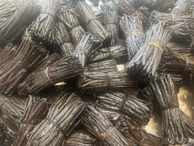 2026 Vanilla Beans - Image 2