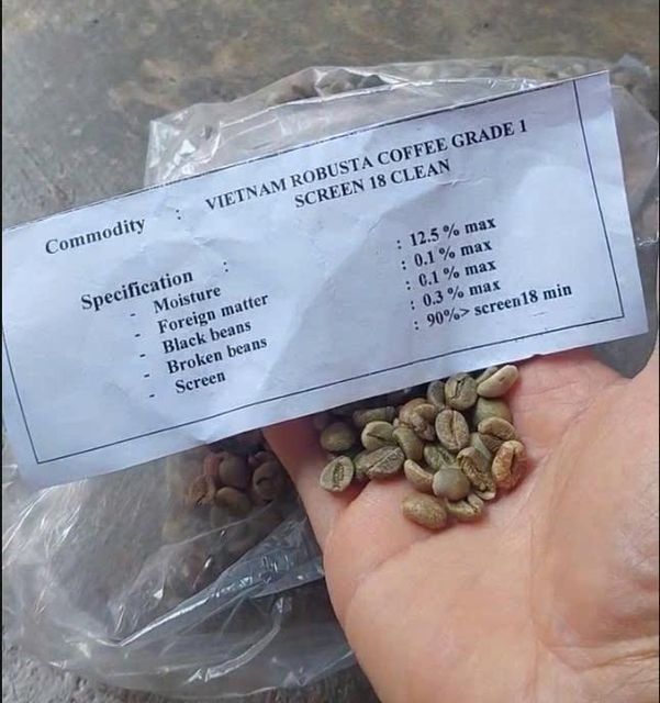 Vietnamese Green bean coffee( Robusta & Arabica) Origin Vietnam Black Beans ≤0.1%% Foreign Matter ≤0.1%% Moisture Content ≤12.5%% - Image 5