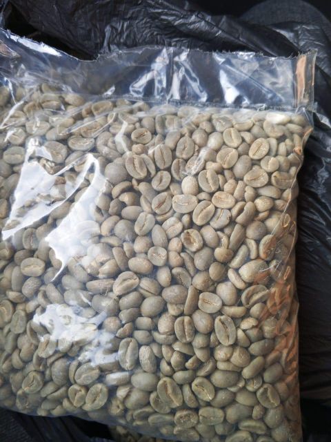WASHED ARABICA BUGISU AA - Image 2