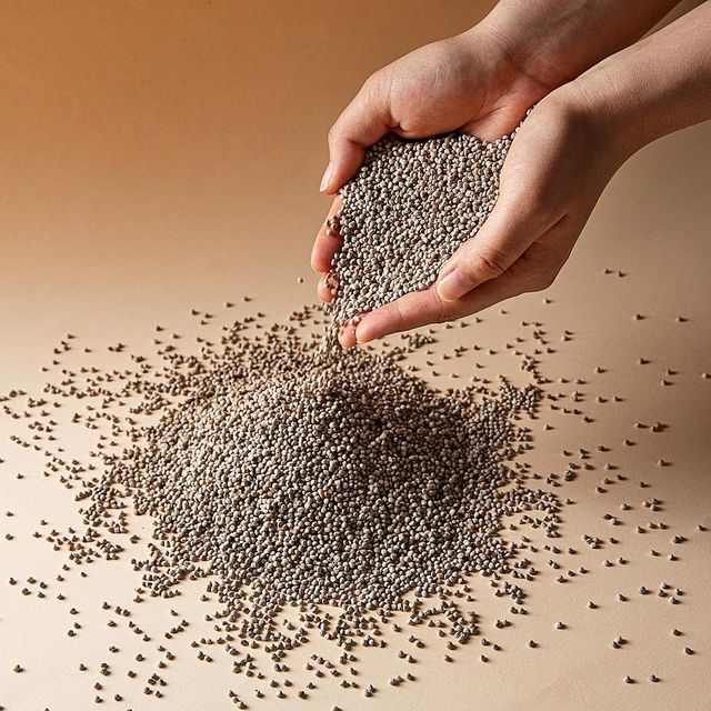 Raw Organic Perilla Seeds Supplied In Bulk Packs With Natural Taste And Fresh Harvest Quality - Image 3