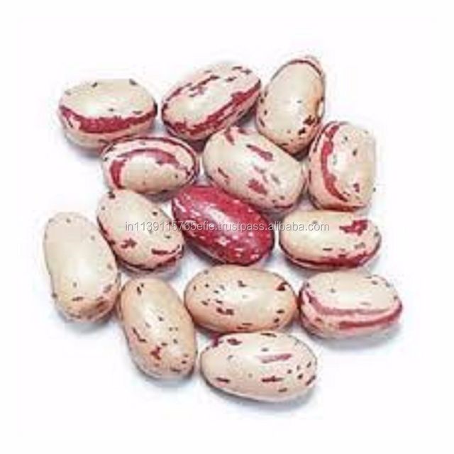 Cranberry Beans Style Dried Weight (kg) 25 Brand Name PAPO Drying Process AD Shelf Life 2 Years Type CRANBERRY BEAN Model Number - Image 1