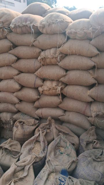 Non basmati rice – product photo 1, product detail gallery