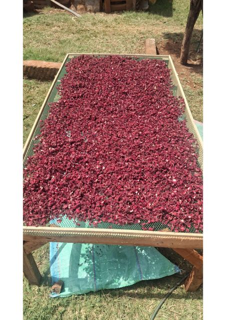 Organic Premium Hibiscus Origin Africa - Image 1
