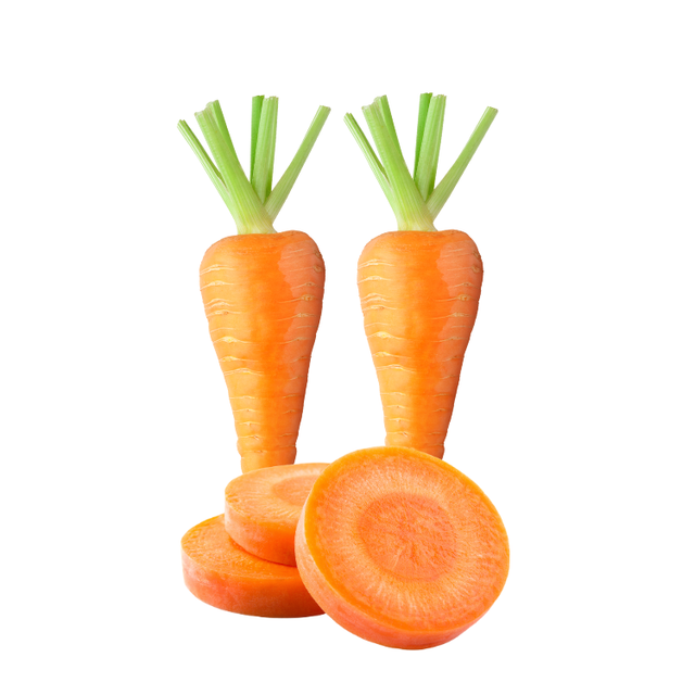 Vietnam fresh carrots high quality - Image 3