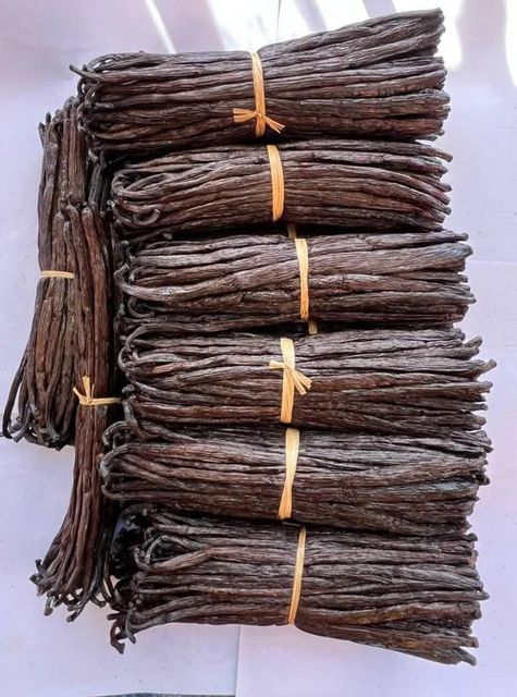 Vanilla Planifolia – product photo 4, product detail gallery