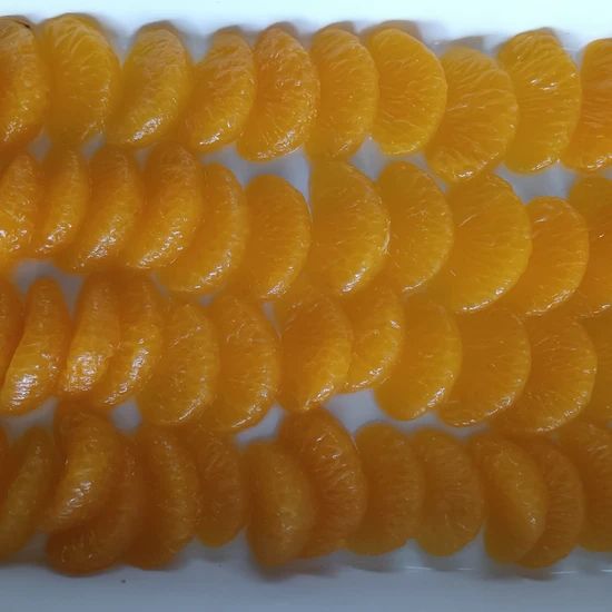 Refreshing Frozen Orange Segments for Yogurt and Ice Cream Topping - Image 2