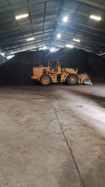 Palm Kernel Shell - Image 3