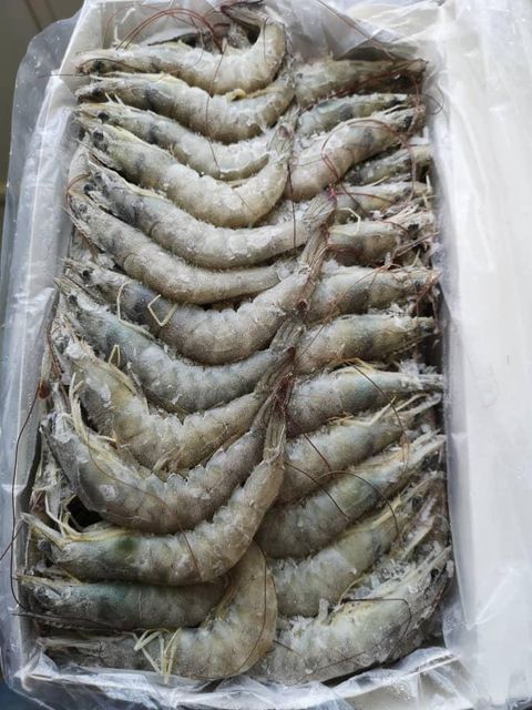 Frozen Tiger Shrimps / vannamei shrimp / Lobsters Packaging 10kg Form Deepfrozen, Iqf Shelf Life 24 months Style Frozen, Bt.choso - Image 2