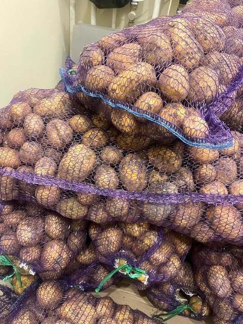 Buy Fresh Irish Potatoes – Large Size | Cleaned Irish Potatoes & Export Ready 10kg & 20kg Mesh Bags - Image 4