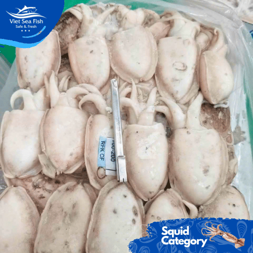 Frozen Cuttlefish Packing Block Minimum Order 5 Tons Net Weight 10kg/carton Size 500/1000, 1000/up - Image 3