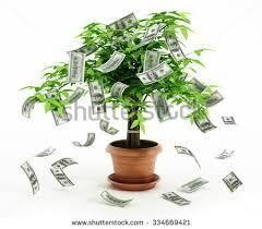 AGRICULTURE BUSINESS DEVELOPMENT LOANS SERVICES AVAILABLE - Image 1