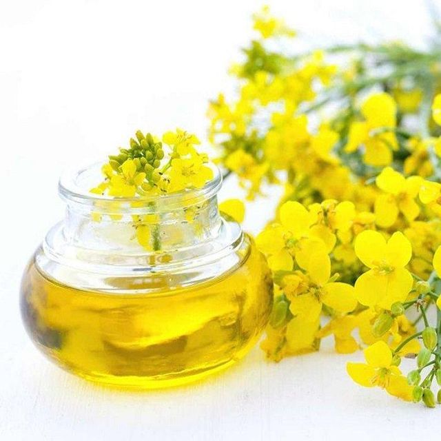 High Quality 100% Purity Refined Canola Oil Excellent Grade Cooking Use 2 Year Shelf Life Normal Temperature Storage - Image 2