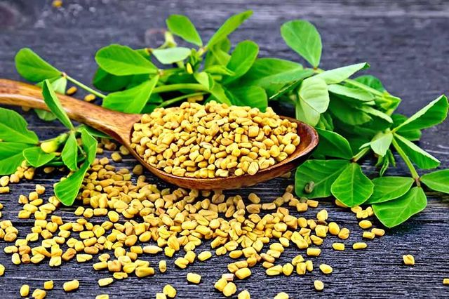 Fenugreek seed Purity ≥99% Origin india Foreign Matter ≤1% Moisture Content ≤8% Freshness Level Fresh Pesticide Residue Compliant With Eu Mrl / Us Fda Standards (lab-tested) - Image 3