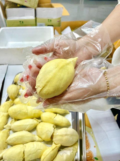 Peeled Durian Mon Thong Premium Fresh Organic King of Fruits Original Taste From Thailand Rich & Creamy 500G/BOX (Peeled) - Image 4