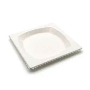 Disposable Sugarcane Bagasse Food Box 100% Compostable Pulp Biodegradable Cutlery Takeaway Tableware - Image 3