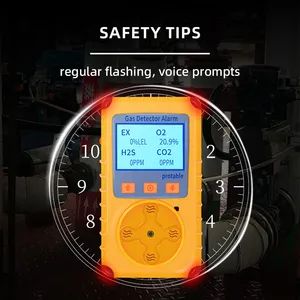Advanced Quad Gas Monitor Four Sensor Multi Hazard Detection Gas CO2 MOQ 1 Set Origin China Brand Zhongan Model NO. - Image 6