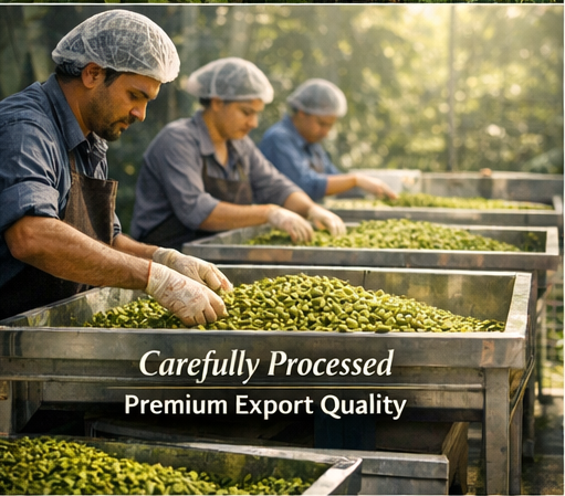 Green Cardamom Form Whole Delivery Form Bag Color Vibrant Green Moisture Content Below 10% Harvest Method Hand-harvested - Image 4