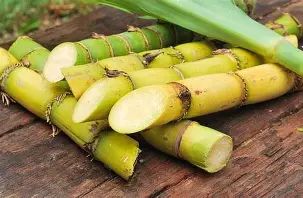 Sugar cane molasses - Image 3