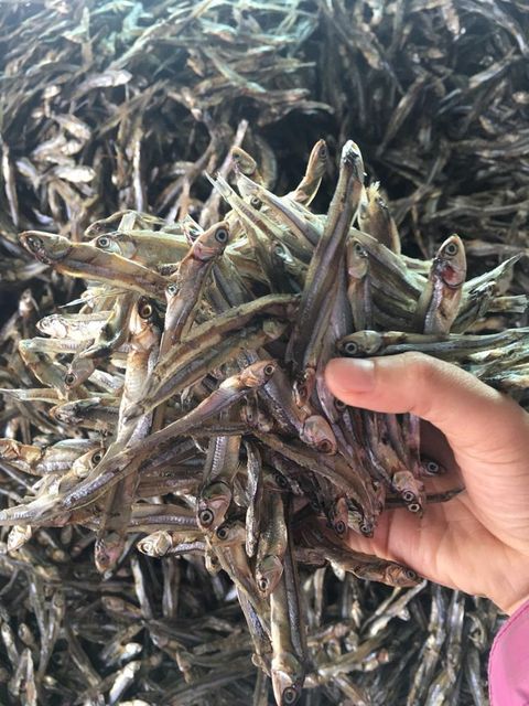 Dried Fish High Protein Dried Anchovy Fish 2-3cm and 5-8cm - Image 3