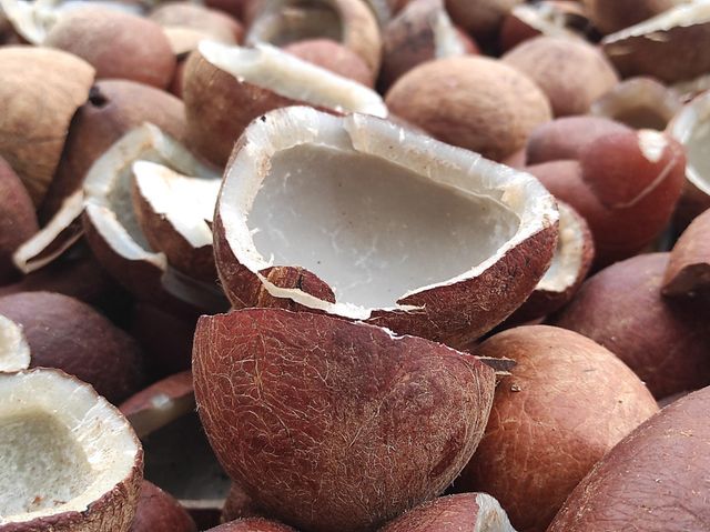 Farm Fresh Dried Coconut Copra Rattan Skin Natural Coconut Bulk Wholesale Export Supplier - Image 5