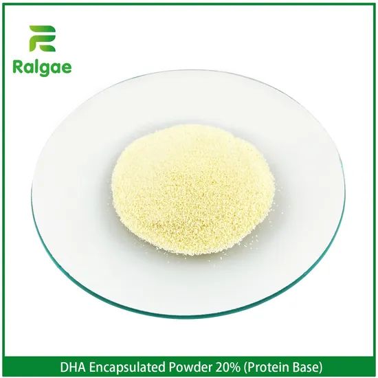 Encapsulated Powder DHA Milk Powder for Nutrition Supplement DHA 20% - Image 3