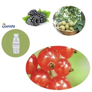Lemon Oil Detergent Raw Material 5kg 25kg MOQ5Kgs MSDS/Ifra MOQ 5kgs Origin China HS Code 33029000 Raw Material Oil Samples Way FedEx - Image 4