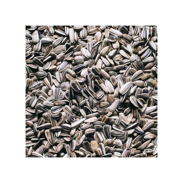 Cheap price Sunflower Seeds bulk supply wholesale fresh roasted seeds - Image 4