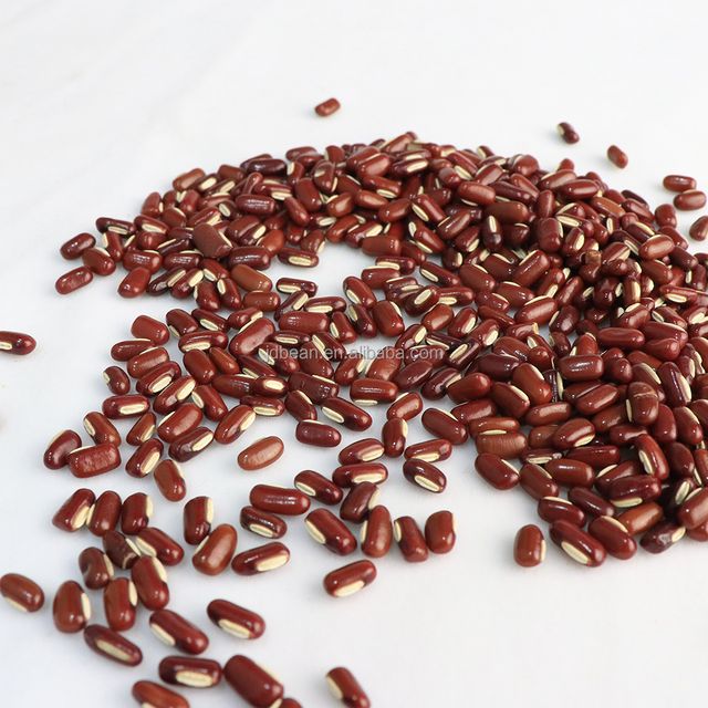 Well Selected CHIXIAODOU Long Shape Adzuki Bamboo Bean Small Red Bean - Image 4