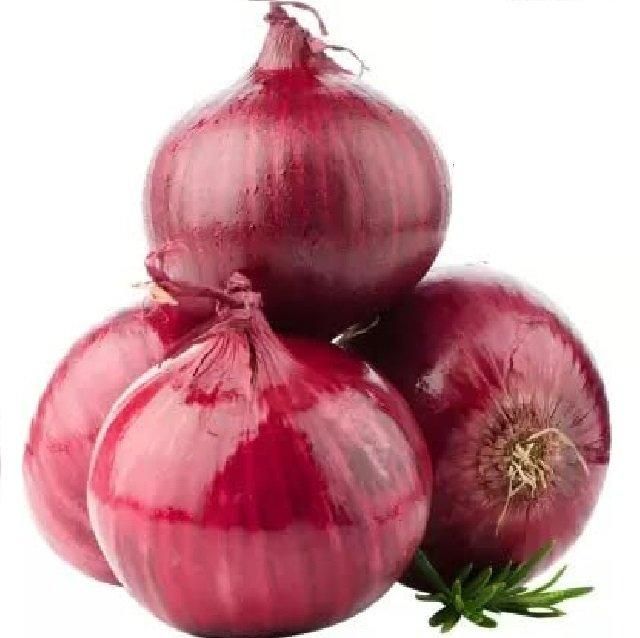 Fresh Red Yellow Onion 6 - 8 mm 2023 Newest Crop Export Quality Fresh Yellow Onion Round Within 7 Days Yellow Red Onion - Image 5