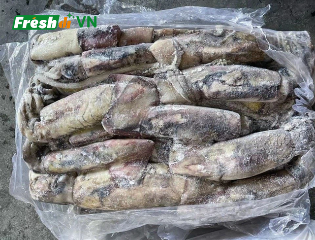 Frozen Black Squid Size 10-15 Color Black Quality High Origin Vietnam Port Cat Lai Port Freshness Level Frozen Packaging 10kgs/carton - Image 2