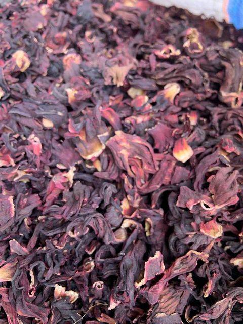 Hibiscus Flower - Image 2