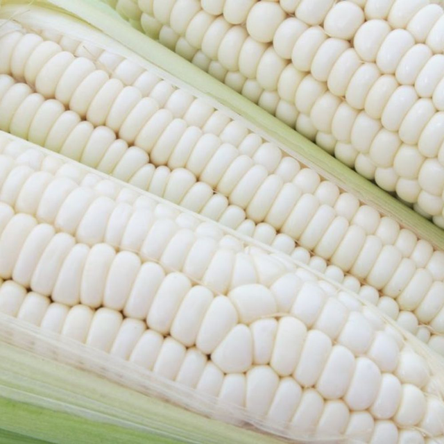 Export Top Selling White Maize Corn/ White Corn Material Maize Grade Feed grade Max. Moisture (%) 5 Shelf Life 12 months - Image 2