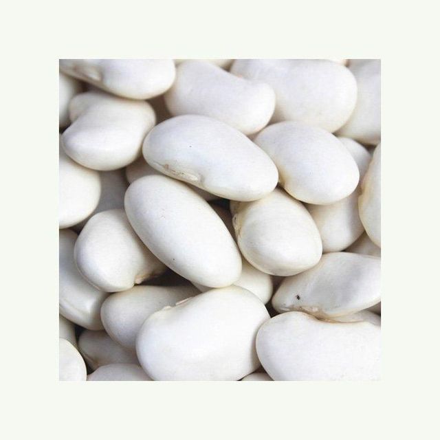 premium whole white beans for cooking soups stews chili salads and healthy recipes natural dried white beans rich in plant protein fiber iron and essential nutrients perfect for vegan vegetarian diets home kitchens restaurants and balanced everyday meals - Image 1