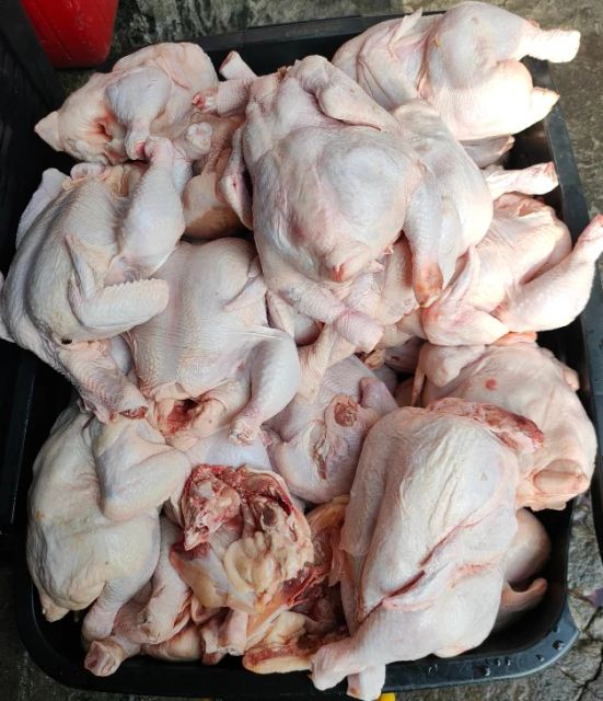Frozen Chicken Drumstick - Chicken Drumstick - Frozen Chicken - Drumstick - Frozen - Drumstick - Chicken - Image 2