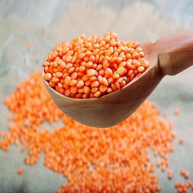 Premium Quality Best Price Export Red Lentils with Best Price - Image 2