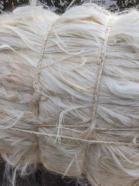 Eco-Friendly Sisal Fibre Natural Color Grade 90-120cm Length Low Price Raw Pattern for Industrial Use Concrete For Sale - Image 5