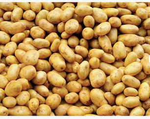 Yellow Potatoes Organic Fresh Potatoes. Fresh potato price in China/potato wholesale price/sweet potato price ton. - Image 5