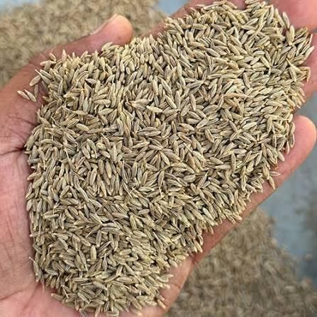 Indian Cumin Seeds Form Whole Delivery Form Bag Flavour Aroma, Spicy Place of Origin India Max. Moisture (%) 10 % Max Type Europe Quality 99.5%, Singapore Quality 99% - Image 4