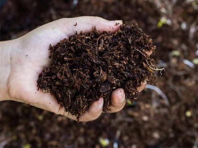 Best Choice High Quality Bio Organic Manure Fertilizer Solid Granulated - Image 3