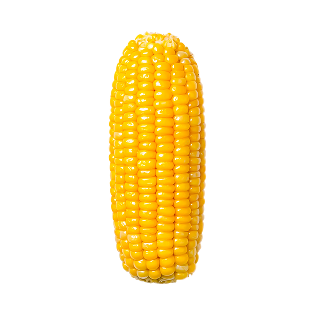 Affordable yellow corn available in large quantity for distributors and buyers - Image 3